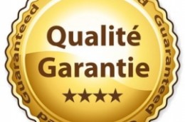 Reconditionné & Garanti
